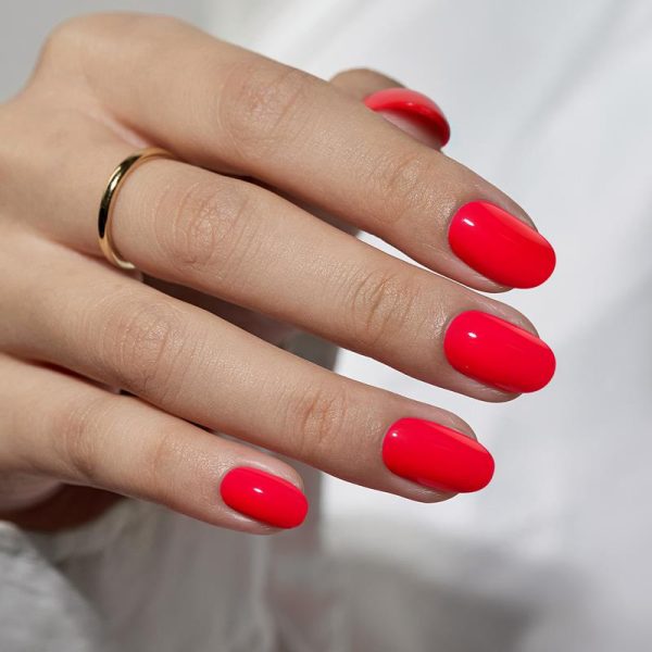 Tomato Tango Oval Nails - Press On Nails on Sale - Image 2