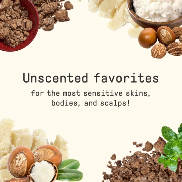 EveryDay Shea Shampoo - Unscented Cheap - Image 2